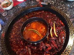 -蜀九香火锅(李家沱店)