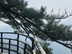 -明堂山风景区
