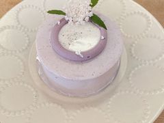 Ginko2周年限定蛋糕-Ginko银子(青龙街店)