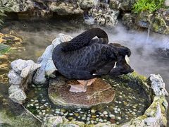 -海底捞火锅(赛格国际购物中心店)