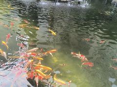 -绳金塔