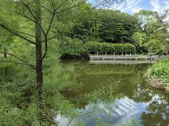 -广州市帽峰山景区