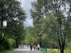 -玉渡山自然风景区