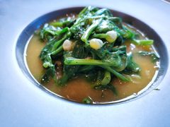 豌豆黄浸豌豆尖-半山腰·云南菜(侨福芳草地店)