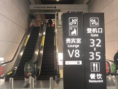 -虹桥机场国航贵宾室v8