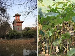 -四川大学(华西校区)