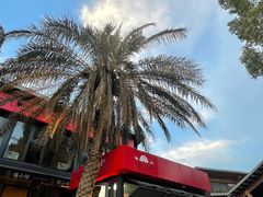 -桃花岭景区
