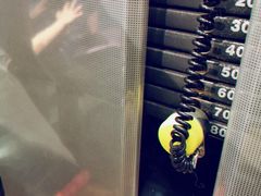 -威尔仕健身·游泳(维景店)