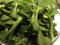 -一叶一世界•素食餐厅(环球中心店)