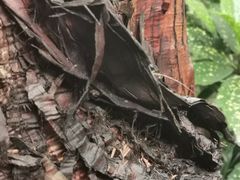 -兰溪青年公园