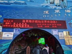 -蓬莱欧乐堡海洋极地世界