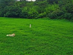 -南京市无想山景区