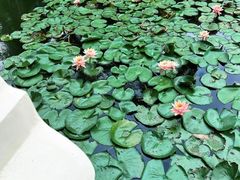 -三亚亚龙湾铂尔曼别墅度假酒店