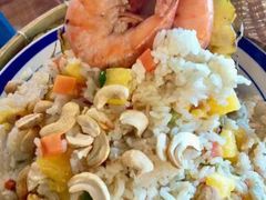 -茉莉.Red Crab
