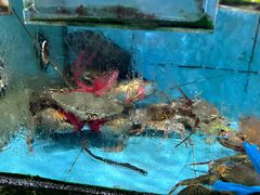 -考记泥焗鸡农庄·海鲜(北洛秘境店)