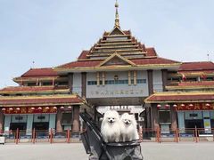 -瑞鹏宠物医院(大运分院)