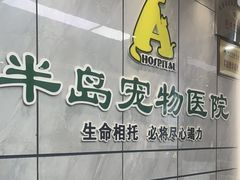-半岛宠物医院24小时(西派城店)
