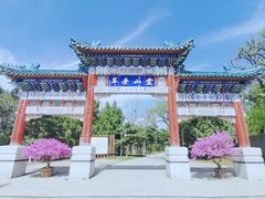 -云岗森林公园