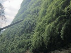 -阿依河景区