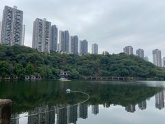 -重庆彩云湖湿地公园
