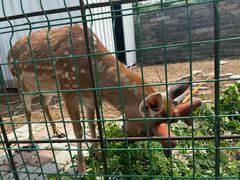 -清风小镇闯关东影视基地