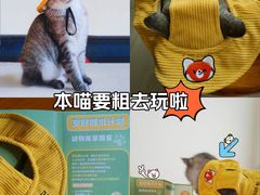 -瑞虹新天地月亮湾