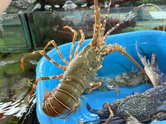 -班赞海鲜市场
