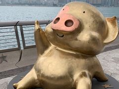 -星光大道