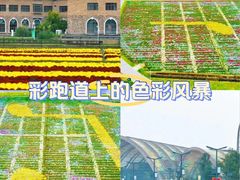 -中国天府农业博览园