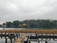 -北山街历史文化街区