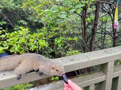 -苍山感通索道