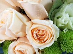 -美丽心情蛋糕(江苏路店)