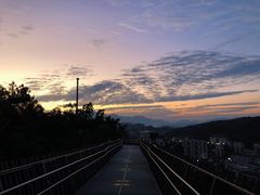 -福道