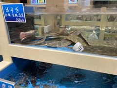 水产区-双井轩(双井店)
