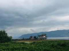 -才村湿地公园