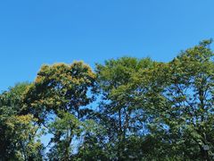 -终南山南五台景区