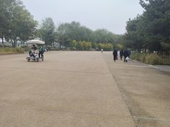 -汉长安城未央宫国家考古遗址公园