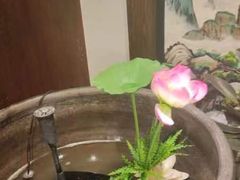 -徽镇小厨·经典徽菜(十里河店)