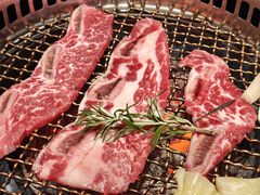-韩香福烤肉庄园(文化西路店)