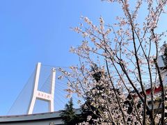 -南浦大桥长途旅游客运站