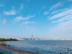 -深圳湾公园(南山区)