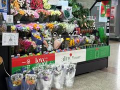 -大望路(地铁站)