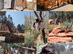 -云南野生动物园