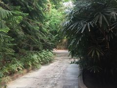 -龙达温泉生态城