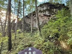 -汤旺河林海奇石景区