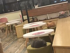 大堂-喵匠猫主题咖啡(凯德和平广场店)