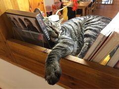 iphone_upload_pic-猫的天空之城概念书店(西塘古镇店)