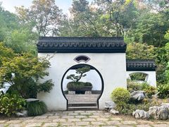 -上海共青森林公园