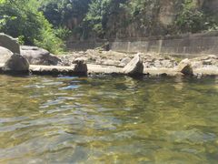-安吉龙王山峡谷漂流