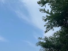 -海岛日记(养马岛店)